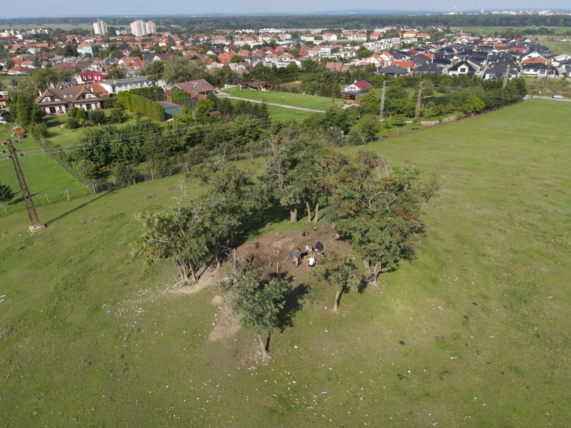 DJI 0621
